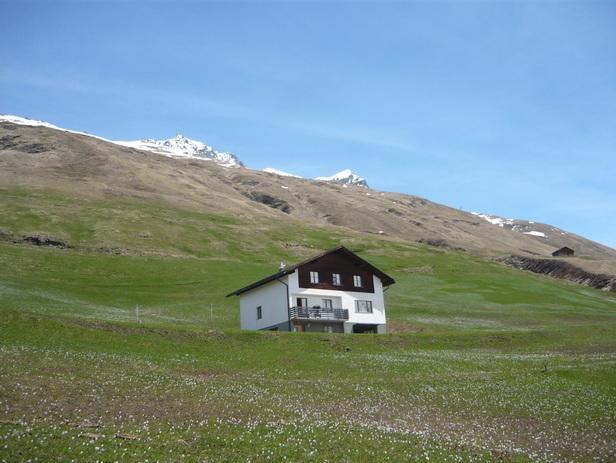 Bed And Breakfast Casa San Gallo Promontogno Eksteriør billede